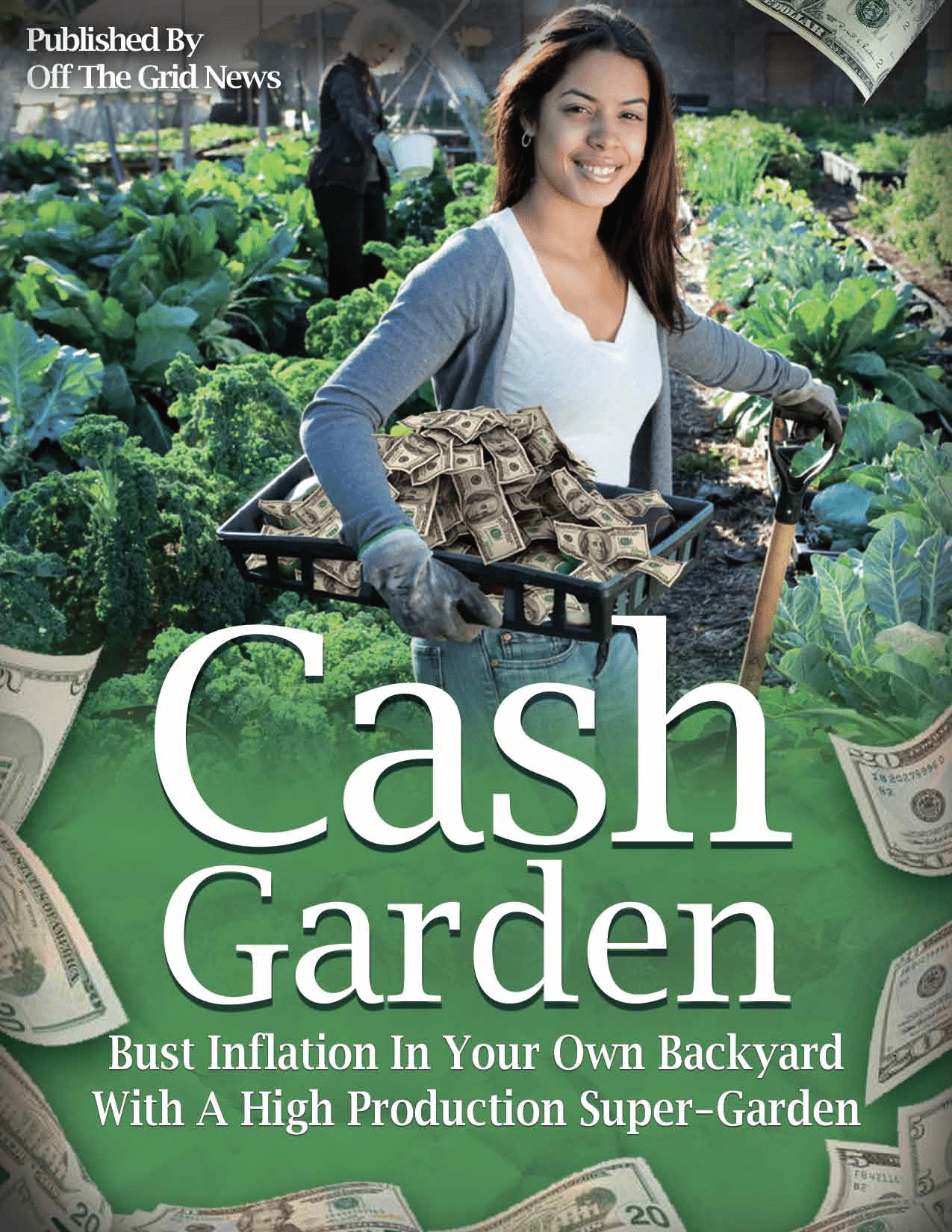 Cash Garden Cover Image cash garden report