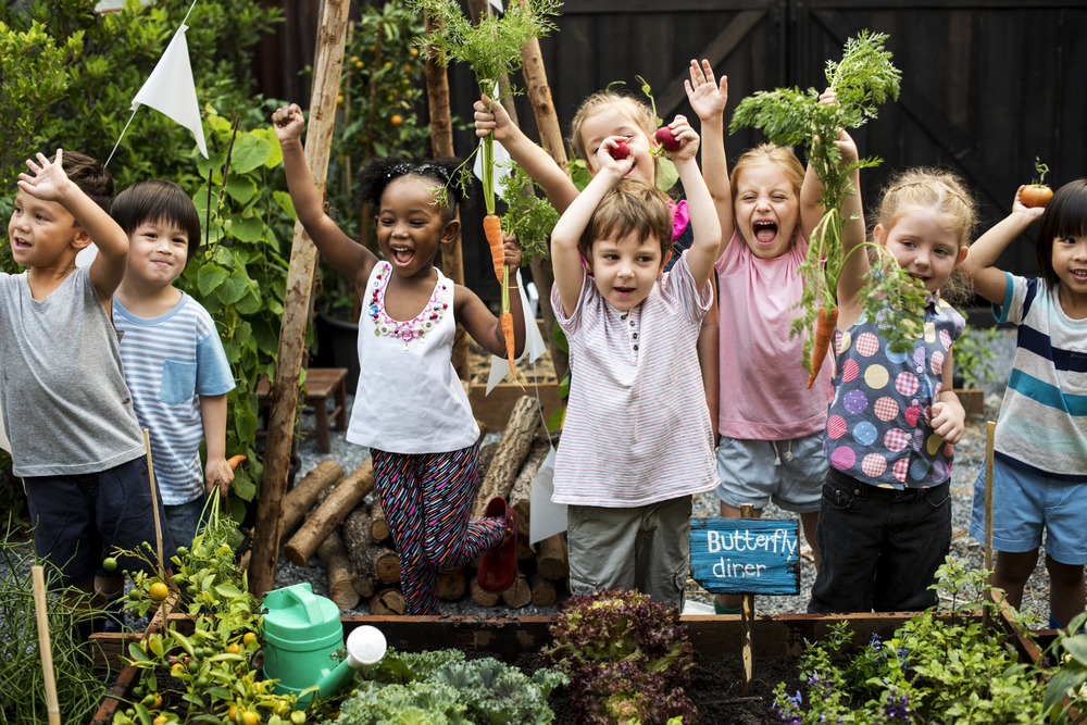 community garden